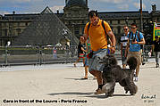 In front of the Louvre