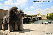 Looking over the Seine river, Paris